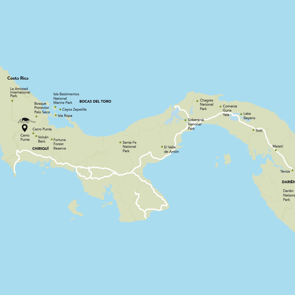 Mapa Tamandua Photo